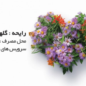 اسپری عطرینه گلهای وحشی